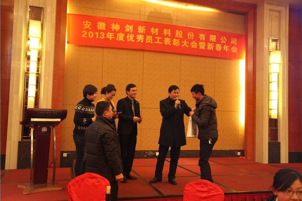 太阳集团tyc539股份2013年度优秀员工表彰大会暨新春年会